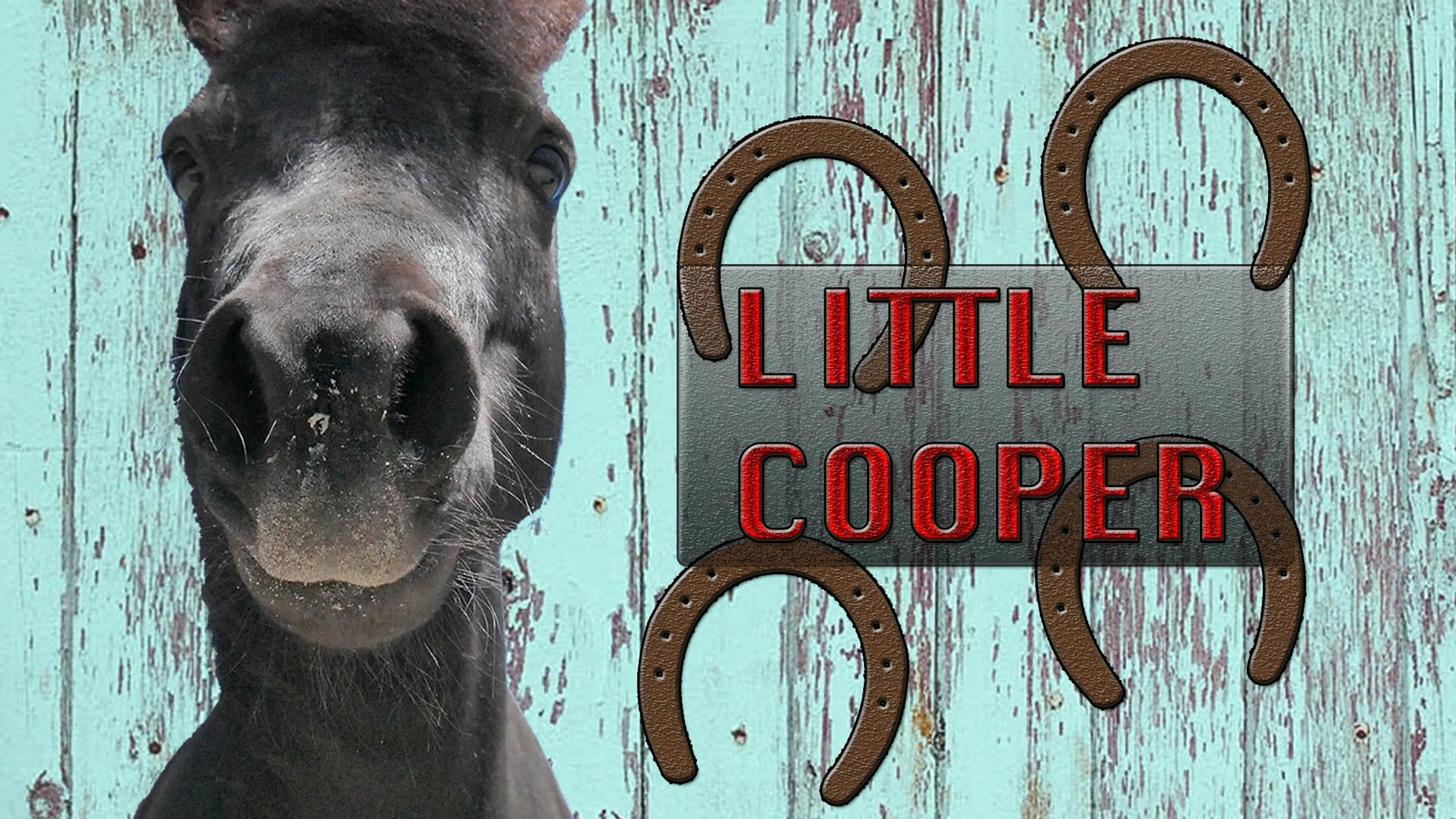 Little Cooper poster